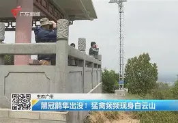 开云体育-歗LrNC蕍?{隼?楆|!?Kv!的简单介绍