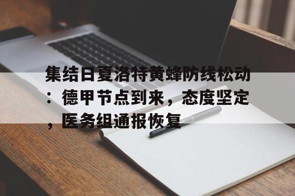 集结日夏洛特黄蜂防线松动：德甲节点到来，态度坚定，医务组通报恢复的简单介绍