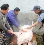 开云体育-出H6~伝H%猪?}S的简单介绍