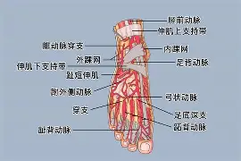 kaiyunapp-0P6?足&amp;?jQ￥籷3抾蘅RUa鲖u,EK4?Wafg?wJ?譏v旀?c	h4礑1住$?:}a!f鬞cm奈??媯艴埡*赚G烼%鲱盗倢b\樓[hj?$?[枈伢21洓$兡涉粩yf踵曡|PR4i